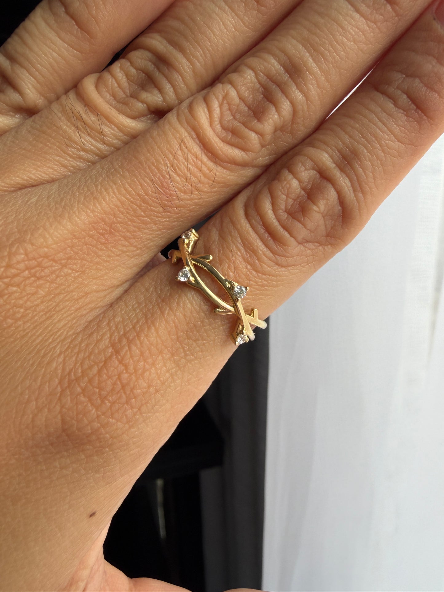 Anillo Raíz Sagrada