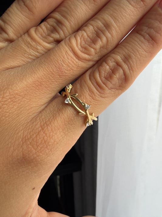 Anillo Raíz Sagrada