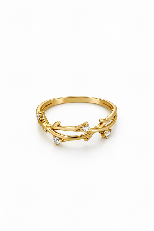 Anillo Raíz Sagrada